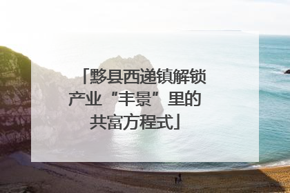 黟县西递镇解锁产业“丰景”里的共富方程式